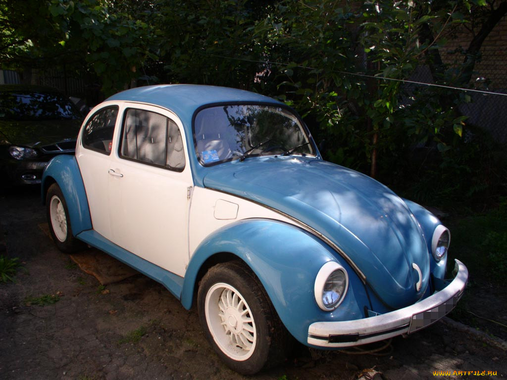 vw, beetle, , 